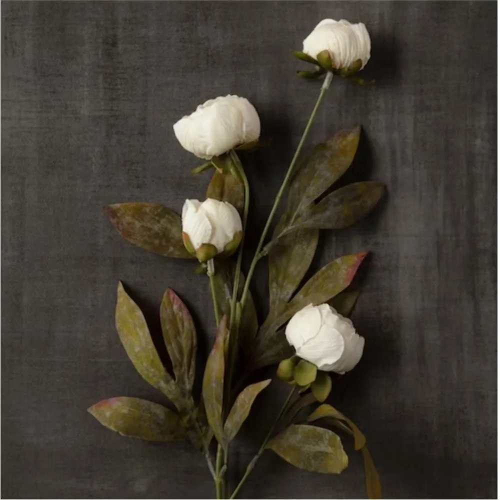 5/ Stems NEW Cream or Ten Peony Stem by Ashland®